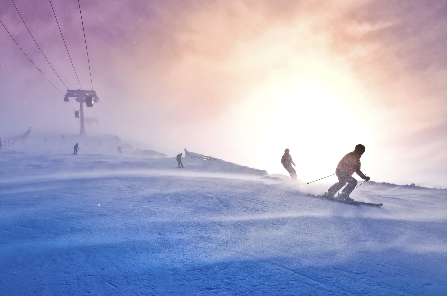 Black Crows Promos Boutique -Black Crows Promos Boutique RS16347 shutterstock 569975974 scr